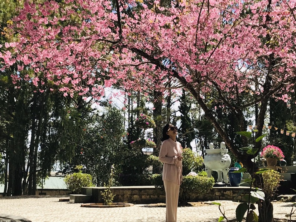 anh ngamhoa (56).jpg