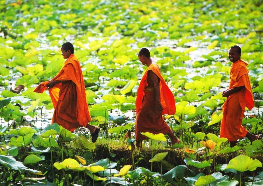 Ai bảo đi tu là khổ? ảnh 1 vithayoque.jpg