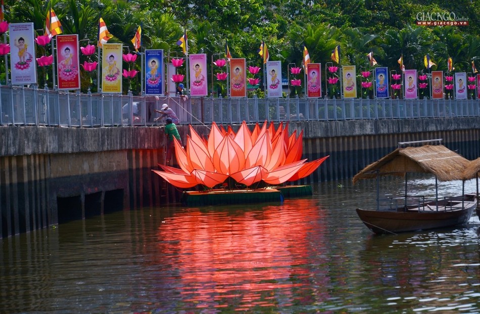 Ha thuy 7 doa sen - QATV (10).jpg