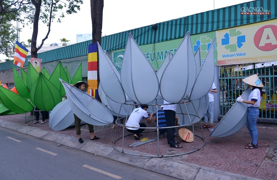 Ha thuy 7 doa sen - QATV (2).jpg