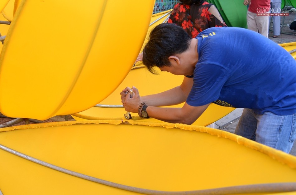 Ha thuy 7 doa sen - QATV (4).jpg