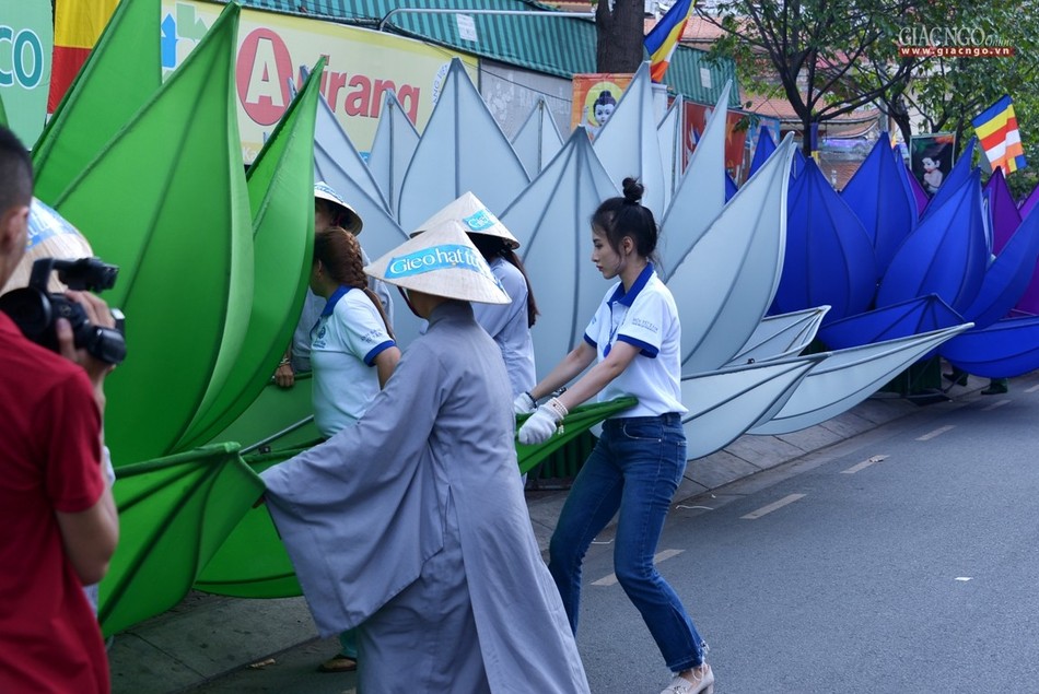 Ha thuy 7 doa sen - QATV (6).jpg