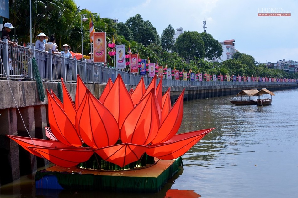 Ha thuy 7 doa sen - QATV (9).jpg