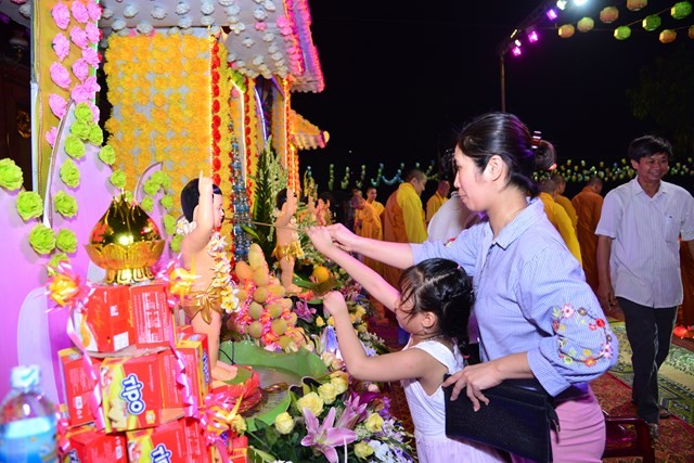 DSC_4020-Copy.jpg