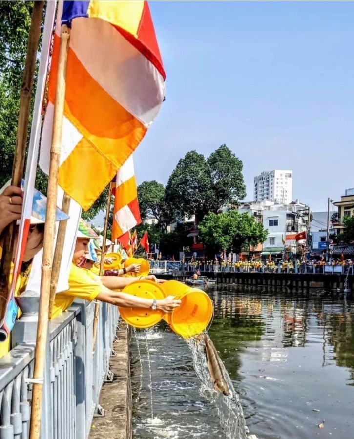 Chùa Viên Giác với nhiều hoạt động mừng Phật đản ảnh 9 H 6.jpeg