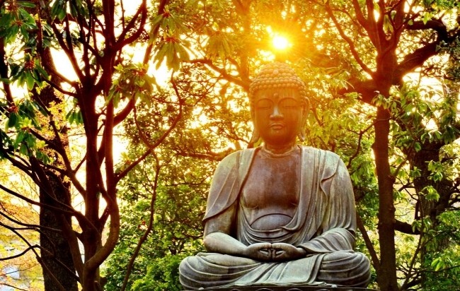 thuc-tap-chuen-hoa-cam-xuc.jpg