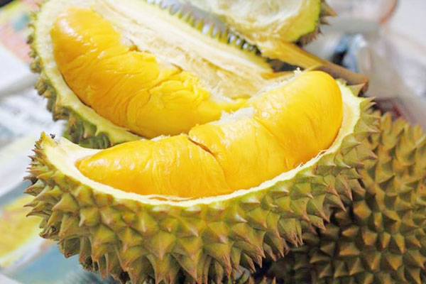 Sầu riêng rất nhiều dinh dưỡng, là loại hoa quả hàng đầu gây tăng cân an-sau-rieng-co-beo-khong-1562-7399-6292-1562057581_png.png