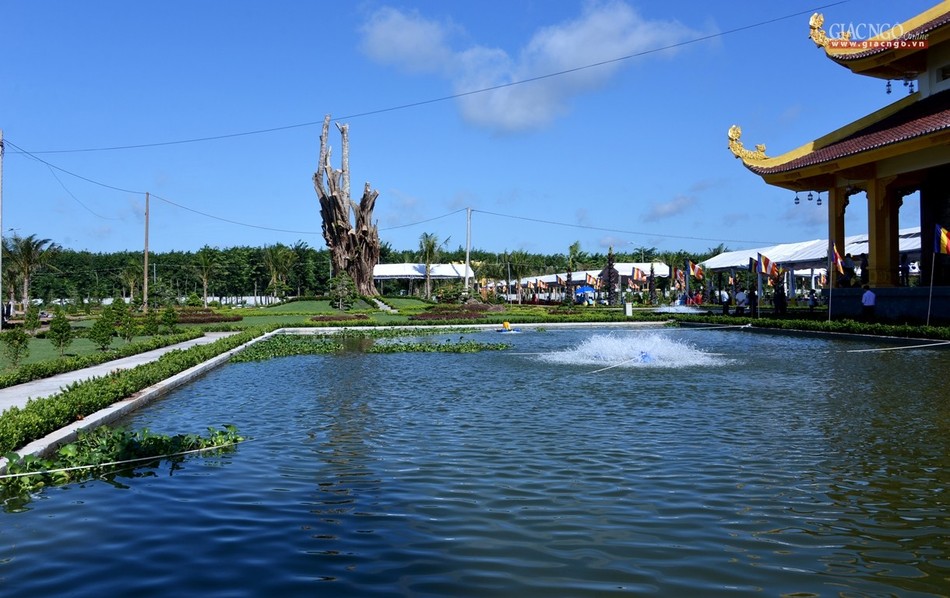 Thien vien Truc Lam Binh Phuoc (6).jpg