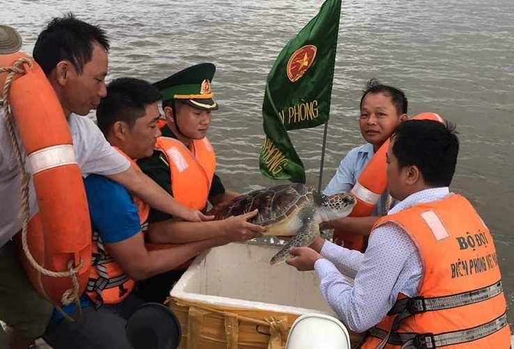 Thả rùa quý hiếm về với tự nhiên ảnh 1 a1.jpg