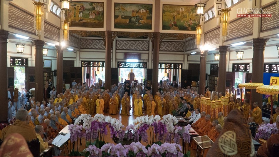 DGD QDuc (13 of 37).jpg