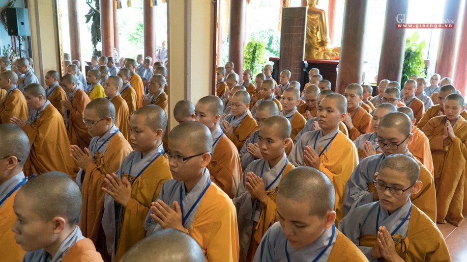 DGD QDuc (17 of 37).jpg