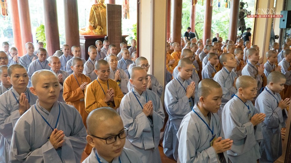 DGD QDuc (18 of 37).jpg