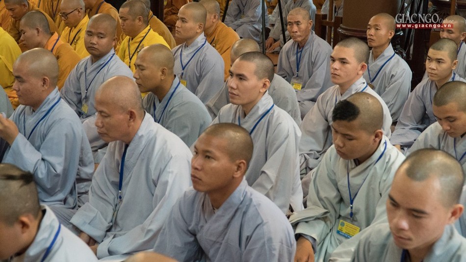 DGD QDuc (23 of 37).jpg