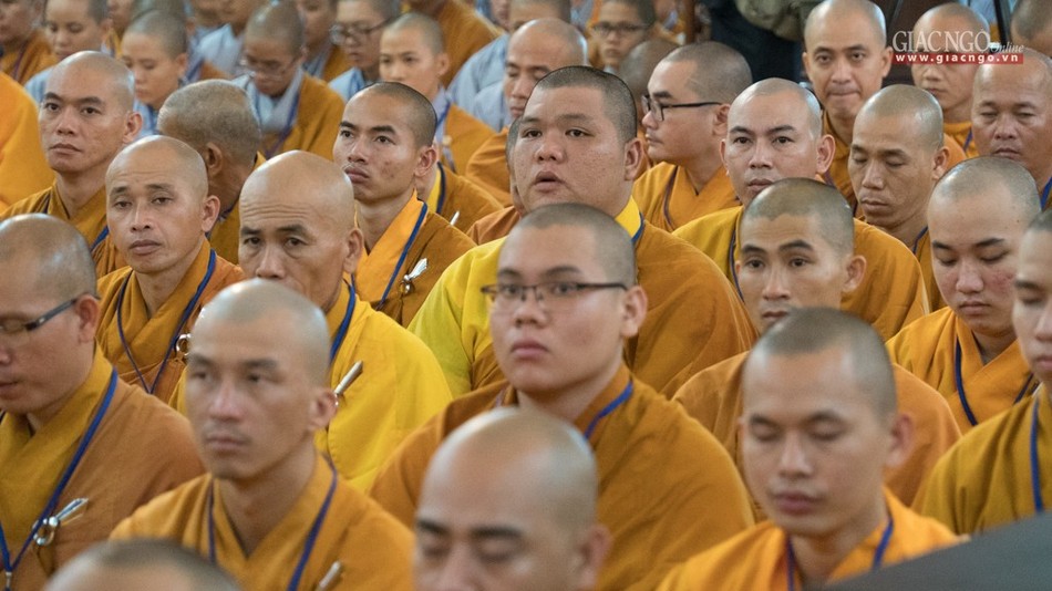 DGD QDuc (24 of 37).jpg