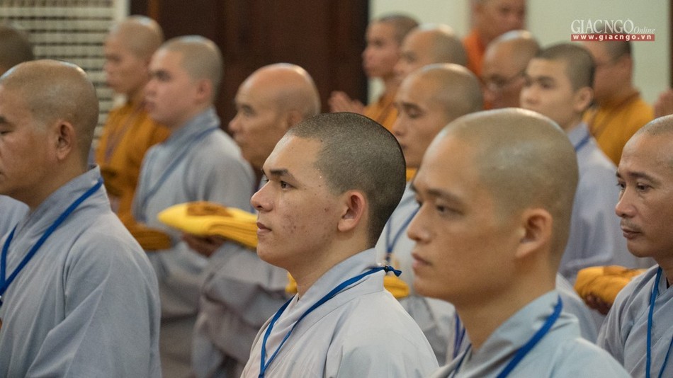 DGD QDuc (37 of 37).jpg