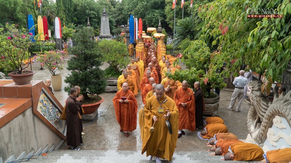 DGD QDuc (5 of 37).jpg