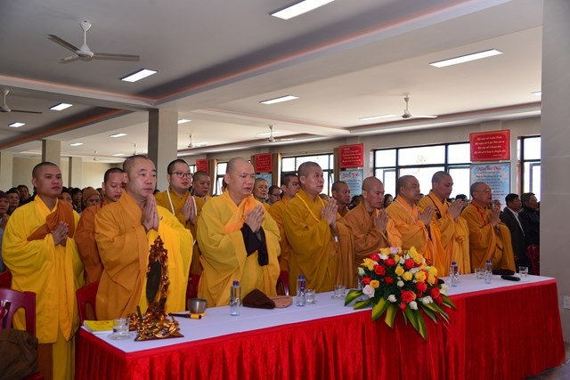 DSC_1593-Copy.jpg