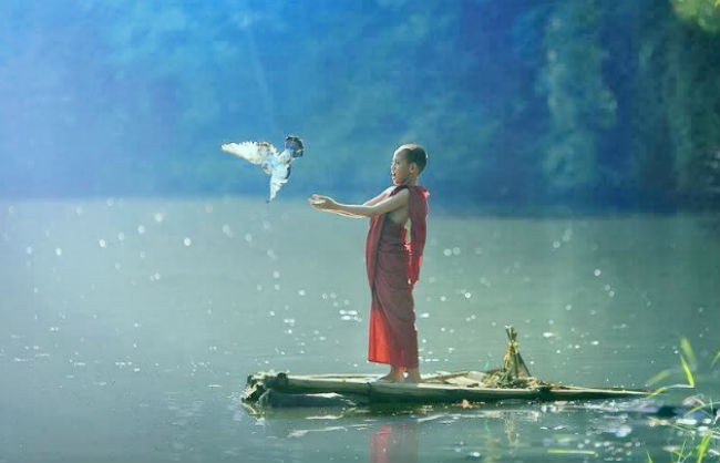 Đời sống từ bi ảnh 1 23.jpg