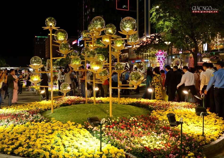 Lung linh đêm khai mạc Đường hoa Xuân Canh Tý ảnh 5 BTN_0392.jpg