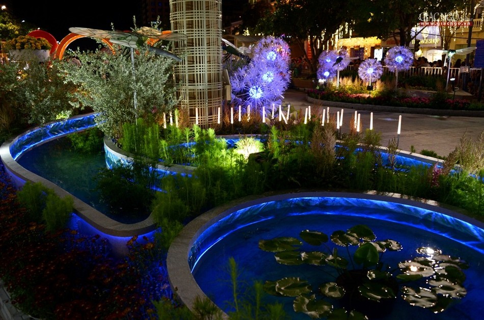 Lung linh đêm khai mạc Đường hoa Xuân Canh Tý ảnh 10 BTN_0466.jpg