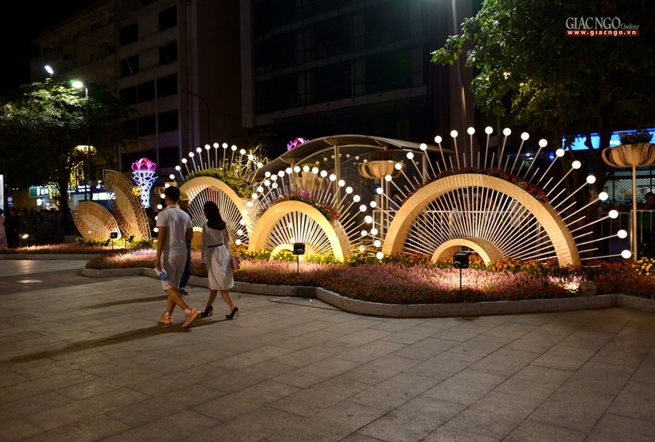 Lung linh đêm khai mạc Đường hoa Xuân Canh Tý ảnh 13 BTN_0530.jpg