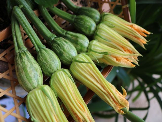 Ăn chay ngon và lành với bí nụ ảnh 1 ĐỌT BÍ NỤ.jpg