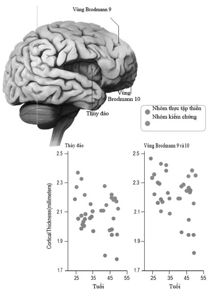 Tâm của người ngồi thiền ảnh 2 7.jpg