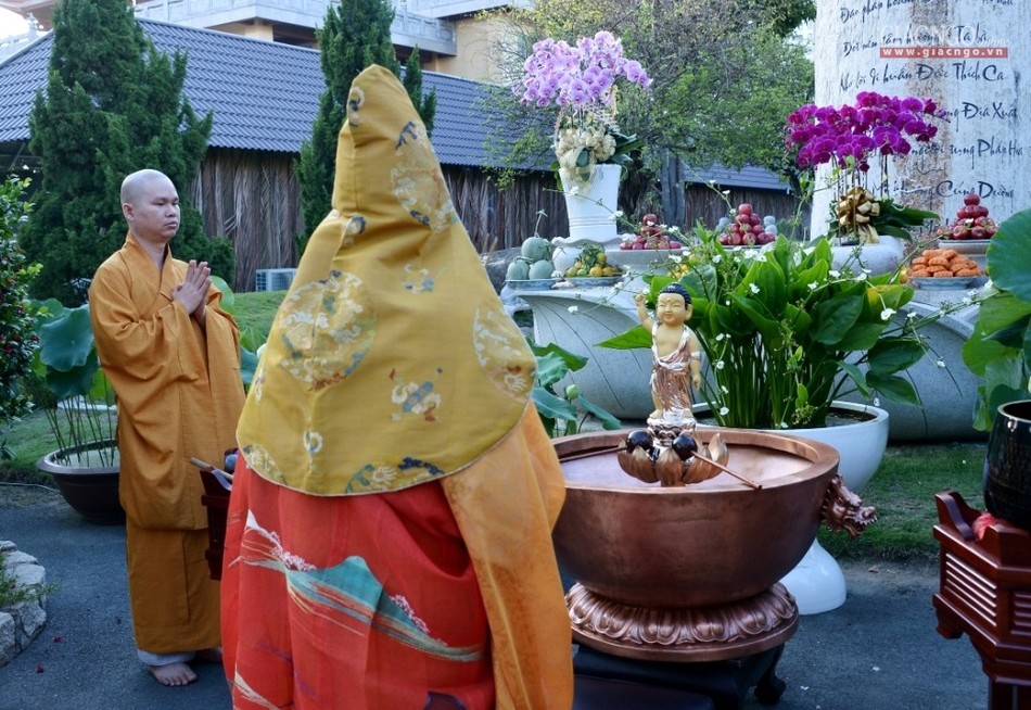 tam Phat HN 4.jpg