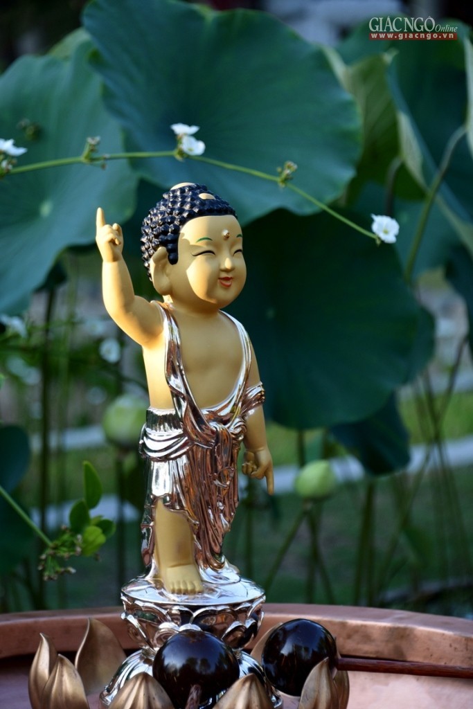 tam Phat HN 7.jpg