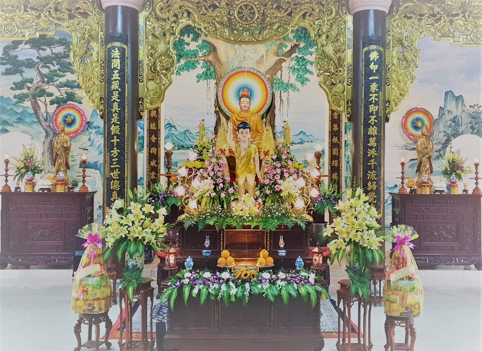 qpdn 5.jpg