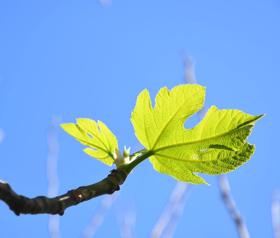 Học chờ đợi ảnh 2 doicho 3.jpg