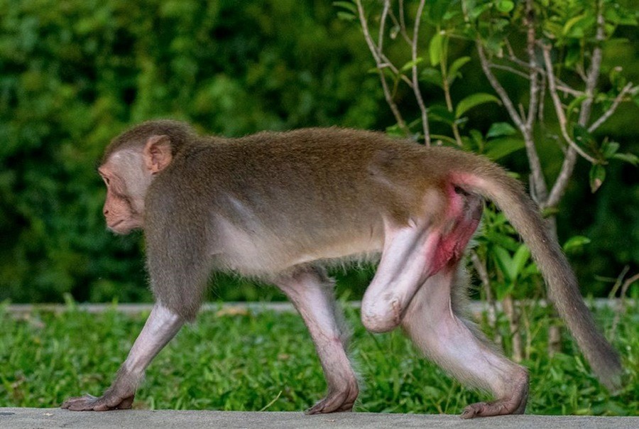 hinh XH 1051 (2).jpg