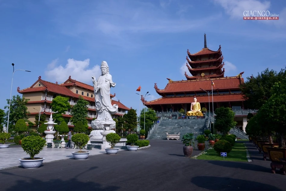 ĐƯỜNG DẪN VÀO CHÙA PHẬT CÔ ĐƠN DƯỚI HÀNG CÂY RỢP BÓNG