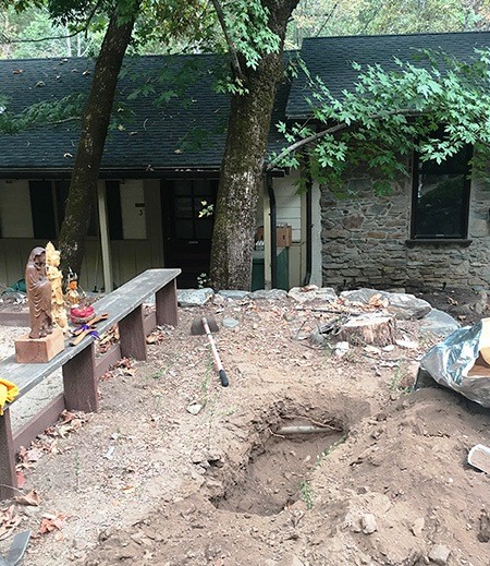 ZMC-buddha-statues.jpg