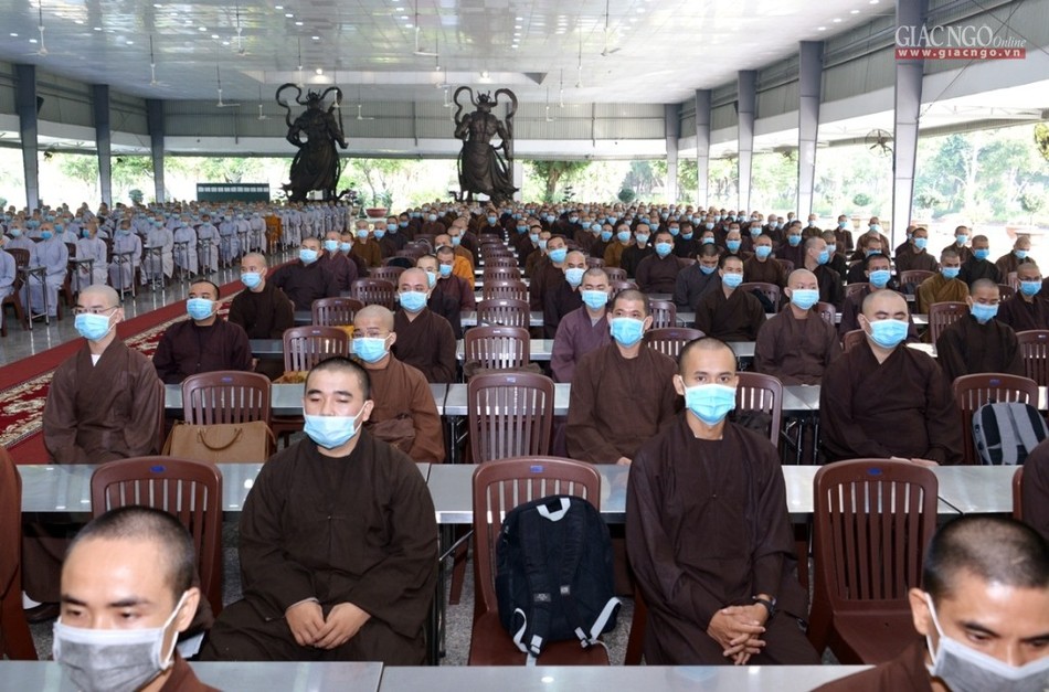 bt11.jpg