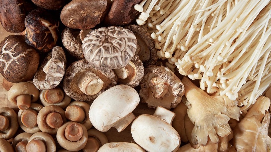 Mushrooms.jpg