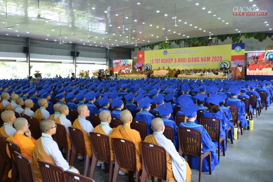 BTN_0078.jpg