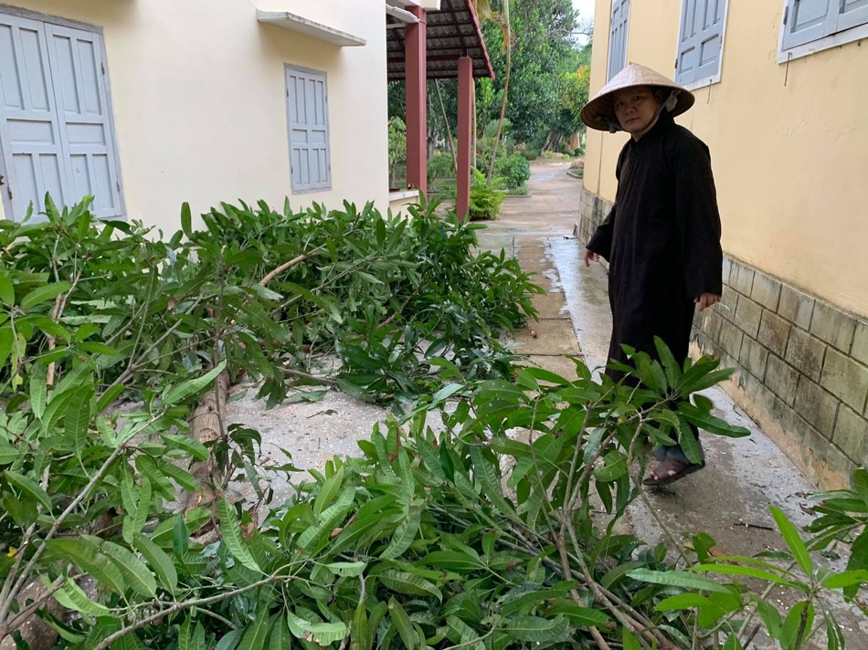 Nhiều tự viện ở Bình Định bị thiệt hại do bão số 9 ảnh 5 abd 2.jpg