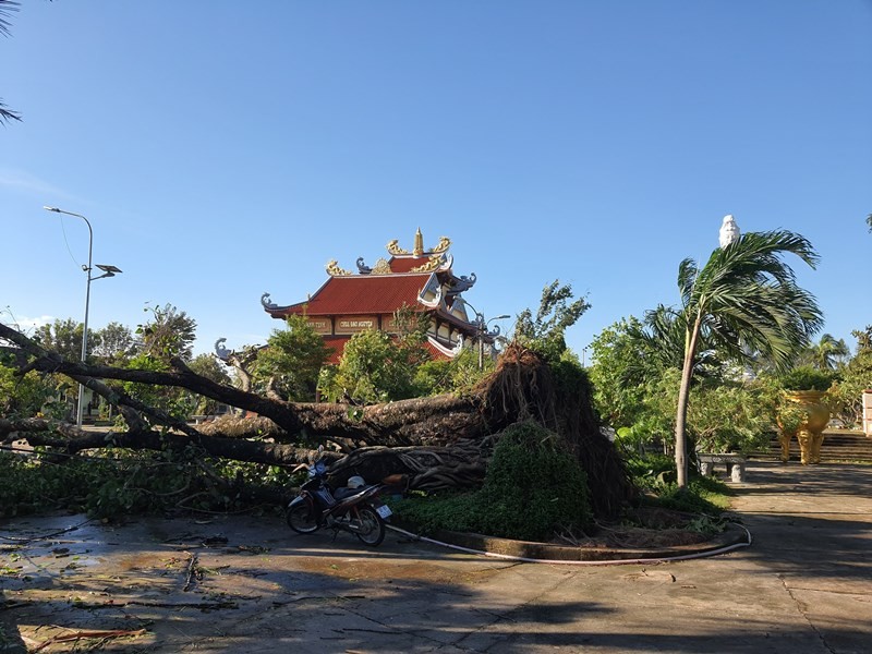 Thêm nhiều chùa ở Quảng Nam bị ảnh hưởng của bão ảnh 2 1qn 2.jpg
