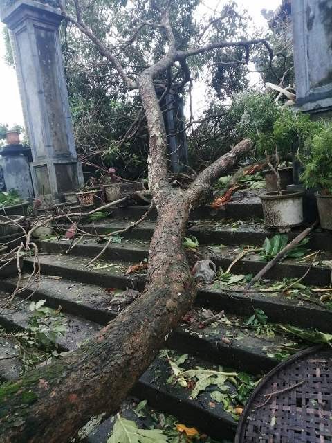 Thêm nhiều chùa ở Quảng Nam bị ảnh hưởng của bão ảnh 5 1qn 5.jpg