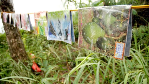 Phơi sách vở chờ ngày đến trường... Phơi sách vở chờ ngày đến trường...